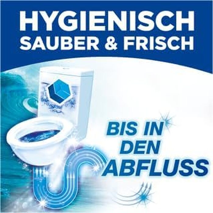 Очищувач для унітазу WC Frisch Duo-Aktiv, блоки для бачка 2в1: гігієна та захист від вапна, свіжий аромат, 100 г (12 x 2 шт)