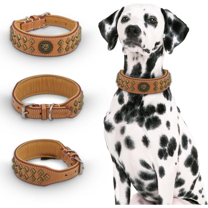 MICHUR Diego Beige Leine, Leather Dog Lead, Flat Lead, Leather Lead for Dogs, MATCHES the Diego Brown Beige Gold Collar, Size 150cm x 2.5cm (Neck circumference 47-54cm)