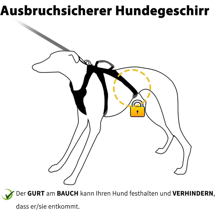 Шлейка безпеки для собак Huntboo, антизламна, зі світловідбиваючими елементами та м'якою ручкою, регульована жилетка для маленьких собак, для прогулянок та тренувань (S, Синій, X-Small, упаковка з 1)