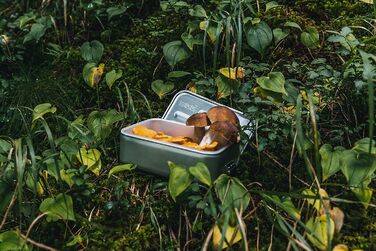 SIGG - Alu Lunchbox Plus - Lunchbox with Compartment - Award-Winning - Dishwasher Safe & Microwave Safe - Absolutely Leakproof - Featherlight - BPA-Free