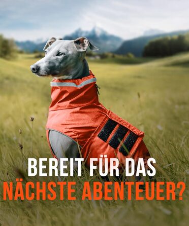 ZAUBERPFOTE® Dog Raincoat London | With extra-long YKK® zipper for collar & harness | For small, medium & large dogs | Waterproof & machine washable | Dog raincoat (Orange, 45)