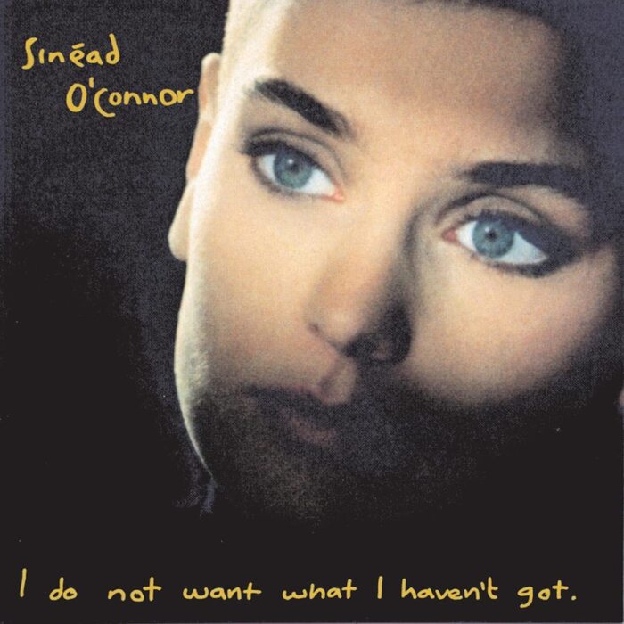 I Do Not Want What I Haven'T Got - платівка