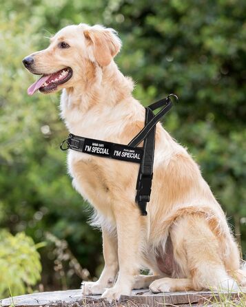 Шлейка для собак без тяги, не виривається, відбиваюча, регульована (Чорний, M) для малих та середніх собак, обхват грудей 53–70 см