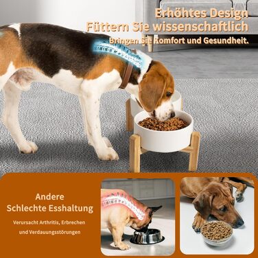 Elevated Dog Bowl Set - Ceramic Double Bowls with Non-Slip Stand - 2 Pack, 850ml Each - Ideal for Small & Medium Dogs