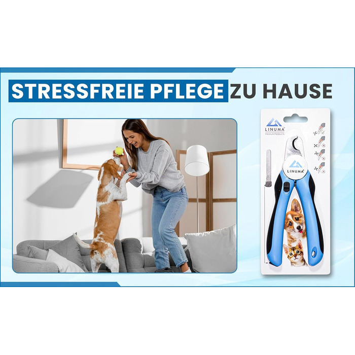 Професійні ножиці для обрізання кігтів собак, котів та дрібних тварин з нержавіючої сталі, з функцією зупинки, інтегрованим напильником та неслизькою ручкою. Підходять для початківців. Колір: блакитний