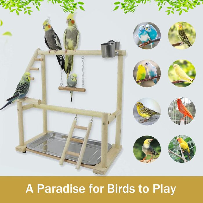 Bird Playground, budgie toys, bird playground stand, bird gym, bird accessories, climbing frame with ladder, running grid with feeder cups, tray, swing for parakeets, wavy parrots, finches, etc. (#7)