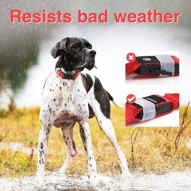 Світловідбиваючий нашийник для собак MABRILL з LED-підсвічуванням, перезаряджається, водонепроникний, для малих, середніх та великих собак, 3 режими світла, червоний (L)