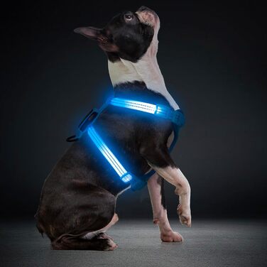 LED нашийник для собак, світлодіодний нашийник для маленьких собак, USB-C, світлодіодна повідка для собак, безпечний нашийник для собак, світлодіодна жилетка для собак, світлодіодна повідка для цуценят, XS, S, світловідбиваючий нашийник для собак, для ніч