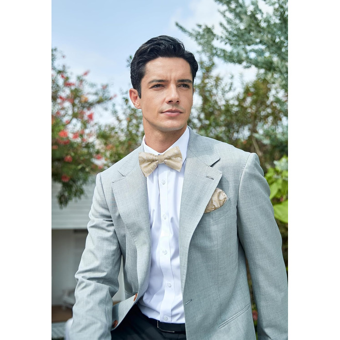 HISDERN Комплект краватки, кишенькового хустинки та краваткових затискачів для чоловіків, Пазлі, для весілля, свят, Різдва, Хелловіну, A1-Бежевий