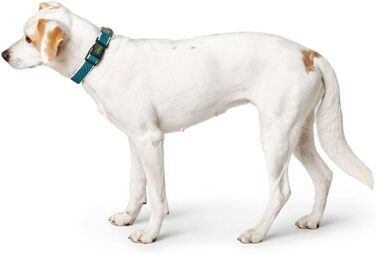 Нашийник для собак HUNTER HILO VARIO BASIC, туркіс, розмір M-L, дихаючий, світловідбиваючий