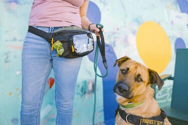 Пакет OllyDog Trailblazer для собак | Поясна сумка для ласощів | З кулькою | Водовідштовхуючий | Диспенсер для відходів | Вільні руки | Для прогулянок та тренувань, універсальний розмір (Juniper)
