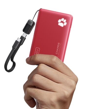 Power Bank INIU 10000mAh 45W USB-C PD3.0 З фонариком, для iPhone/Samsung/iPad (Червоний)