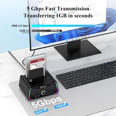 Док-станція для жорстких дисків USB-C Dual Bay для 2.5