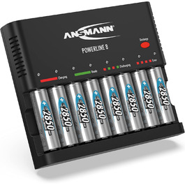 Зарядний пристрій Powerline 8 для акумуляторів AA/AAA з LED-дисплеєм, визначення дефектів та захистом від перевантаження (зарядний пристрій + 8 x 2850 акумуляторів)