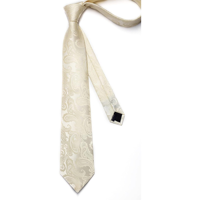Краватка та нагрудна хустинка Enlision для весілля: шовковий комплект Paisley з латунними застібками для манжетів, бежевий/шампань