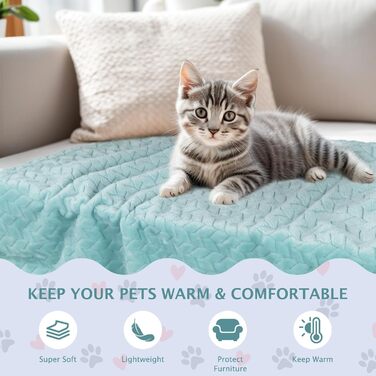 6 шт. м'які ковдри для собак та котів BVAGSS, фліс, фланель, 60 x 40 см, зелений колір