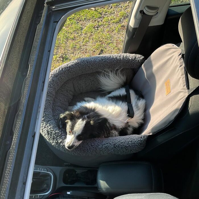 GEAR Frontera: безпечний авто-кошик для собак з регульованими повідцями та ортопедичною тканиною Тедді для передніх та задніх сидінь