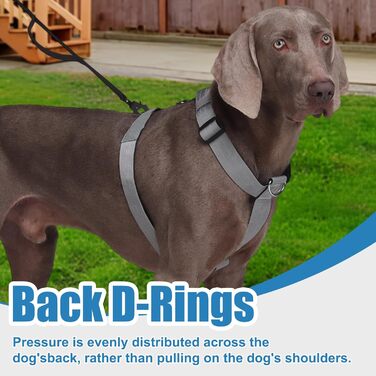 Шлейка для собак FEimaX для великих собак, тактична, не тягне, дихаюча, комфортна, сіра, міцна