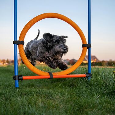 Набір для аджиліті для собак Relaxdays, 76 елементів, регульовані бар'єри, обруч, стійки для слалому, сумка, блакитний/помаранчевий