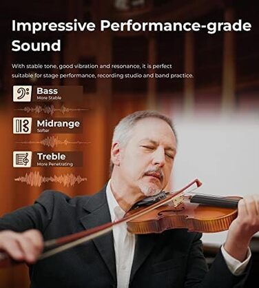 Скрипка 4/4 повного розміру, повний комплект для професійних, початківців, дорослих, підлітків та студентів, з дерев'яним корпусом та ебонітовими аксесуарами, у жорсткому кейсі