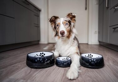 Миска для собак великих та маленьких порід - годівниця/поїлка S/M/L з неслизьким дном (1800 мл, чорна)