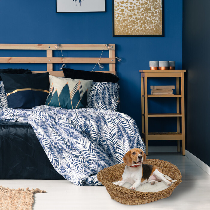 Relaxdays Pet Bed for Dogs and Cats