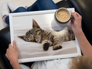 Creative Tops Kitten Lap Tray with Cushion, Beanbag Padded, 44 x 34cm, Multi-Coloured