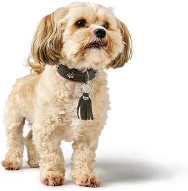 Нашийник для собак HUNTER München, зелено-коричневий, шкіряний, з вишуканими деталями, м'який та міцний, не травмує шерсть, екологічний, Made in Germany, розмір 50