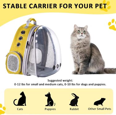 Розширюваний рюкзак для котів та собак, передній рюкзак з прозорим вікном та блискавкою, для подорожей та піших прогулянок, розширювана спинка (жовтий)