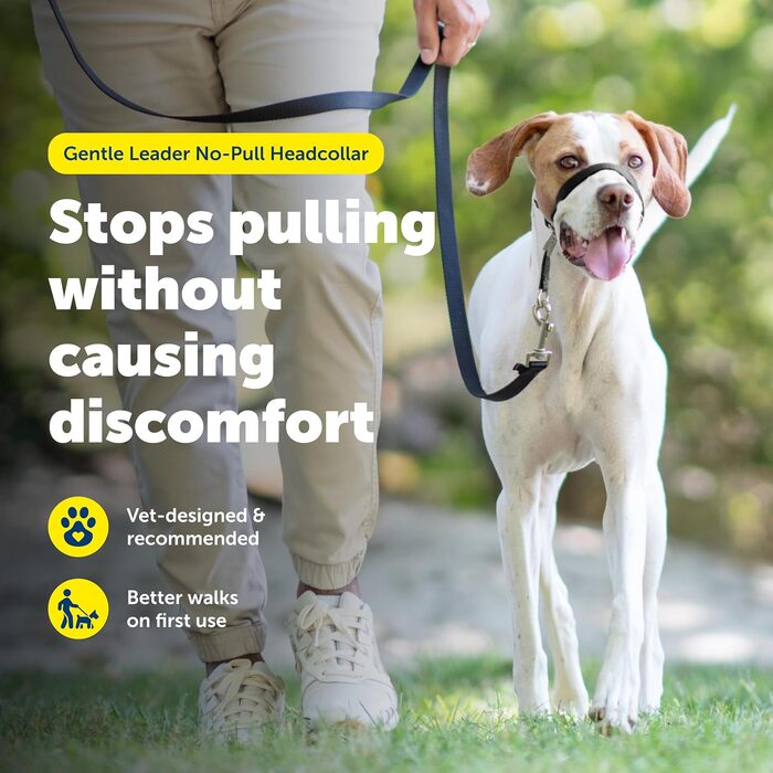 PetSafe Sanfter Führer: Нашийник-тренер з DVD (срібний)