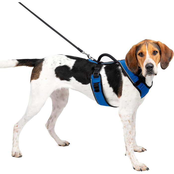 Шлейка для собак PetSafe EasySport, повністю з м'якою підкладкою, еластичний комір, розмір S, 9-16,5 кг, блакитна