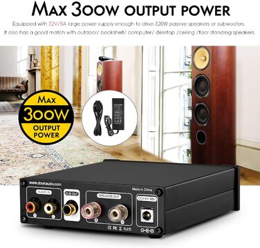Nobsound G2 PRO 300W Міні HiFi Сабвуферний/Повнодіапазонний Моно Аудіо Підсилювач