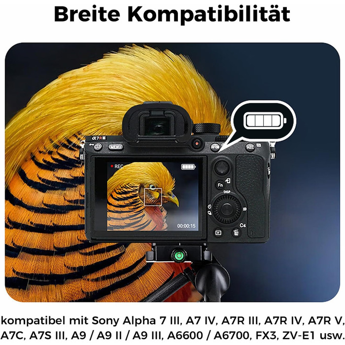 Акумулятор BTECH NP-FZ100 2600mAh (2 шт.) + Зарядний пристрій USB-C PD 18W для Sony A7 III/IV/R III/IV/V/C/S III/A9/A6600/A6700/FX3/FX30 (чорний)