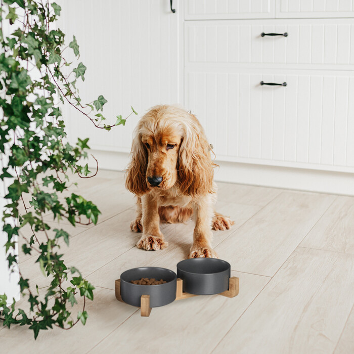 Relaxdays Ceramic Dog Bowl with Bamboo Stand