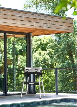 Електрогриль WMF Lono Master-Grill, 50x28 см, з регульованими зонами нагріву, нержавіюча сталь, для барбекю на вулиці