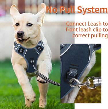 Шлейка для собак HEELE з розподілом навантаження, світловідбиваюча, з м'якою ручкою, контроль, 2 металеві кільця, для собак маленьких, середніх та великих порід, Aree, Зелена, C-Aree Grün (L, Uni-Königsblau)