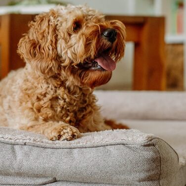 Ортопедичний кутовий диван Nobby 61725 CALBU бежевий; 80 x 52 x 18 см