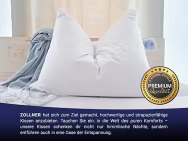 ZOLLNER 2-Pack Deluxe Down Pillow - Made in Germany – Suitable for allergy sufferers – Cover made of high-quality Mako cotton - washable up to 60°C - 40x80 cm - Hotel quality 40 x 80 cm 2-pack