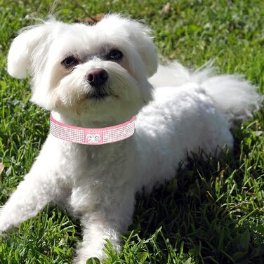 Нашийник для собак зі стразами, м'який велюровий нашийник та поводок, набір, блискучий, регульований, для маленьких та середніх собак та котів, рожевий S, рожевий