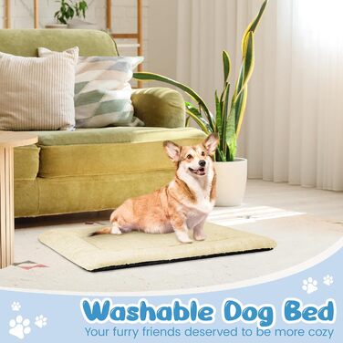 Крісло-ліжко для собак середніх порід Baodan, 90x60 см, з м'якою подушкою та антиковзною основою, бежеве