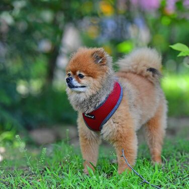 М'яке собаче нашийник Puppia Soft Harness II - комфортний та регульований, для собак середніх та маленьких порід, винний колір, розмір M