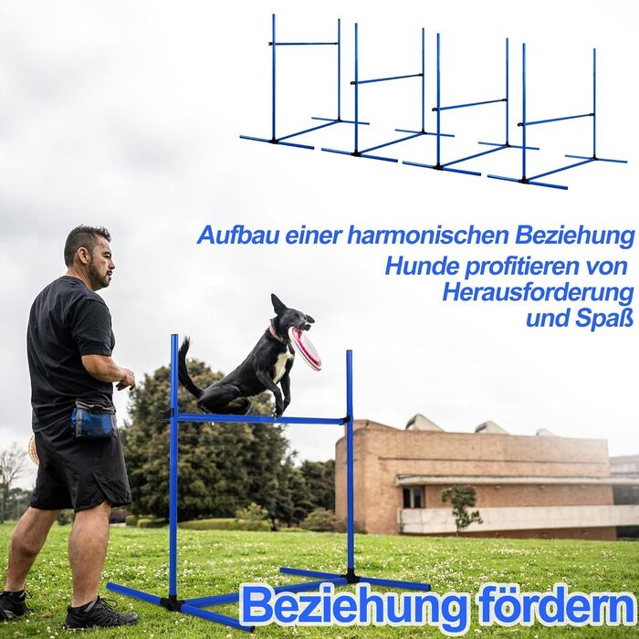 Набір для аджиліті для собак: перешкоди, стрілки, обладнання для тренувань. Регульована висота, 104x70x101 см, зелений (блакитний)