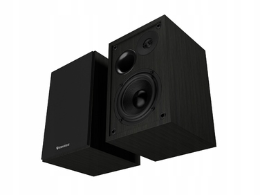 Комплект акустичних систем 2.0 Genesis Arsen 302BT, 20 Вт, чорний