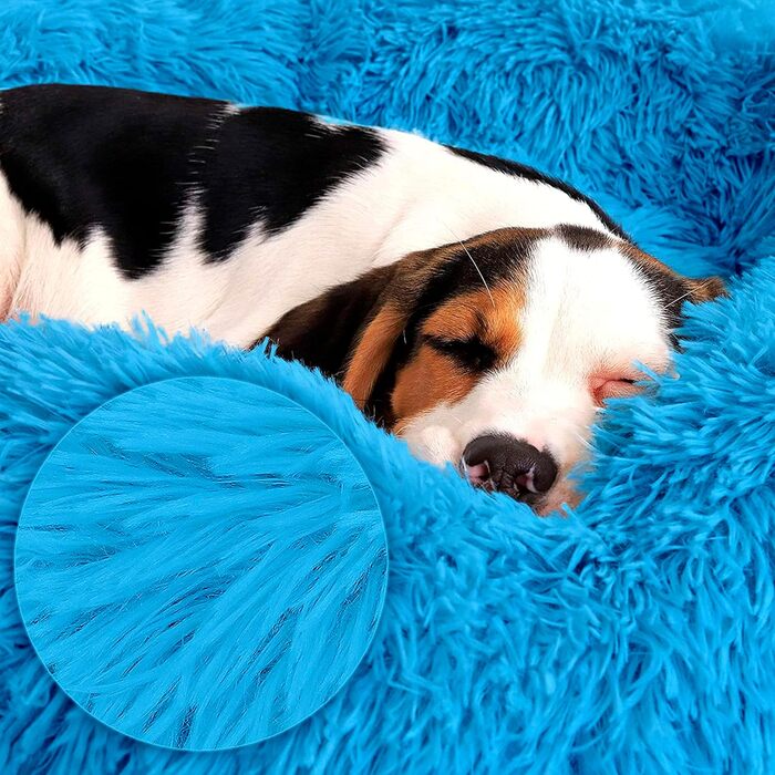 Ліжко для собак та котів Yuma Spazio, 35 x 50 см, бірюзове, міцне, анти-гризун, знімний чохол