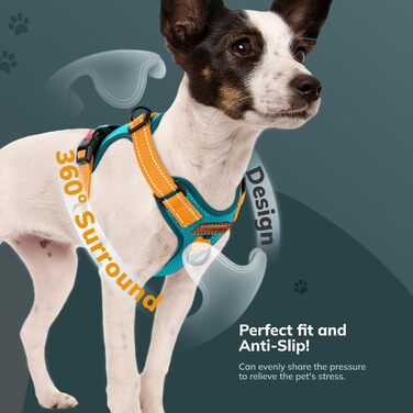 Шлейка для собак FAYOGOO, без чіпкості, з переднім кріпленням, світловідбиваюча, регульована, м'яка, з підкладкою, для малих, середніх та великих собак, для прогулянок (Блакитна, S)