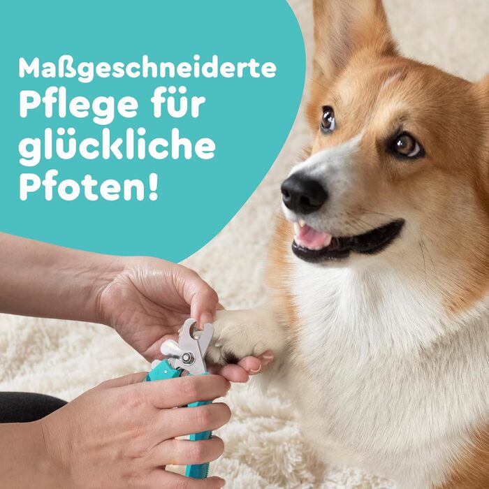 Ножиці для грумінгу собак та котів з високоякісним стопором для захисту від забруднень - включаючи стабільну фіксацію, професійні ножиці з міцної нержавіючої сталі