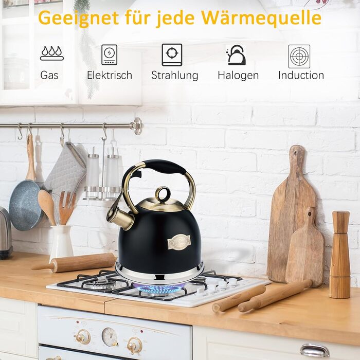Чайник-свисток 3L з нержавіючої сталі, з термостійкою ручкою, для індукційних плит, чорний