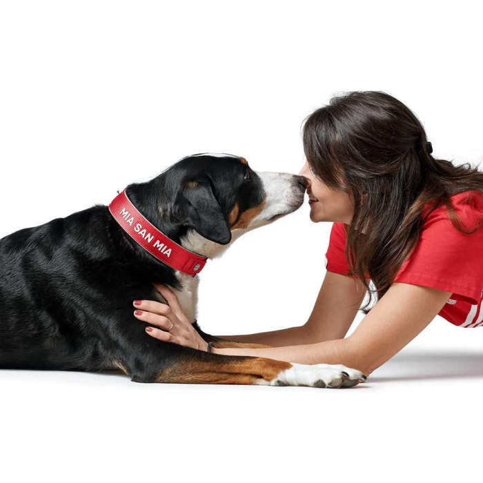 Нашийник для собак Hunter Neopren Reflect FC Bayern, L (60), червоний