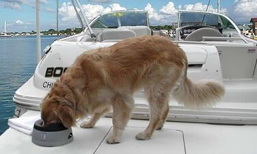 Поїлка для собак Road Refresher - дорожня поїлка для тварин, рожева