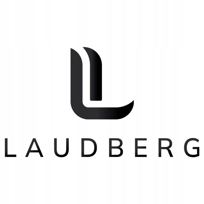 Бездротові накладні Bluetooth-навушники Laudberg H1B, чорні, з ANC та кейсом